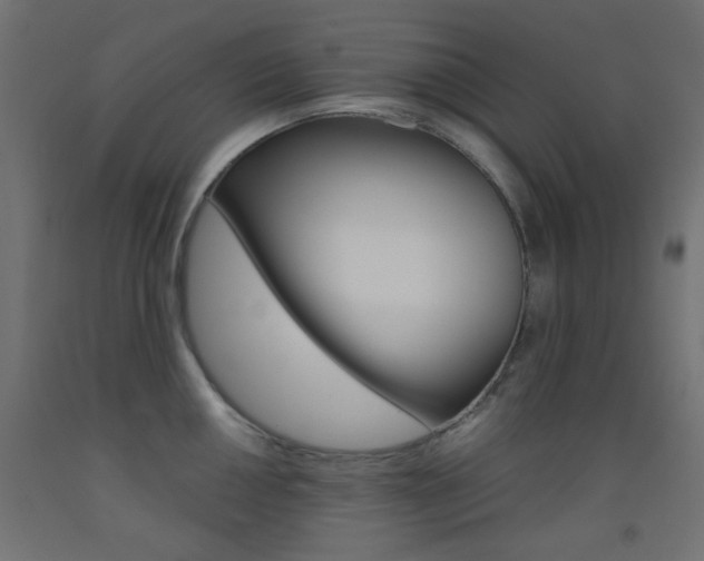 X0000093531050200710121145