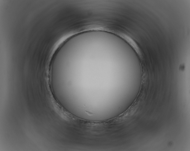 X0000093531051200710121145