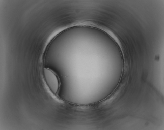 X0000093531053200710121145