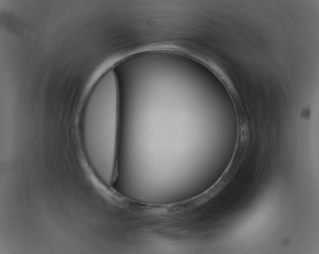 X0000093531054200710121145