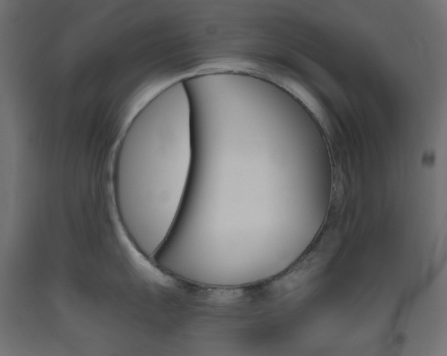 X0000093531055200710121145