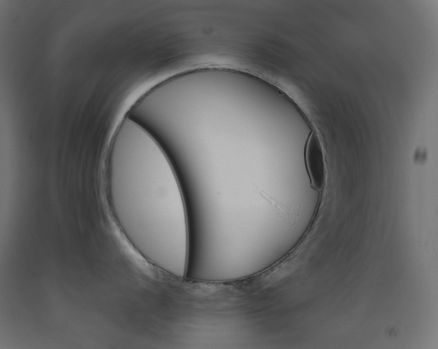 X0000093531056200710121145