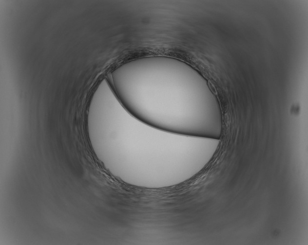 X0000093531057200710121144