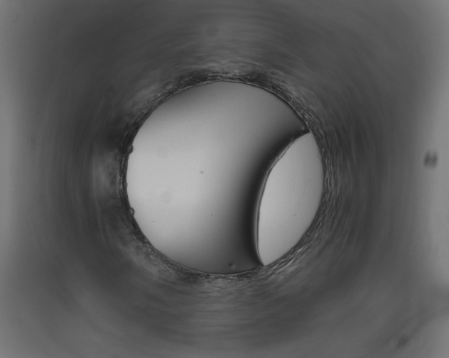 X0000093531058200710121144