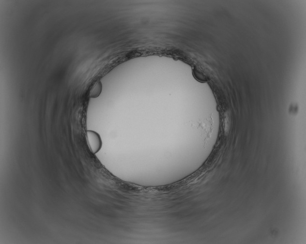 X0000093531059200710121144