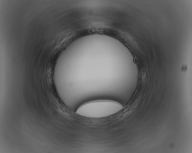 X0000093531060200710121144