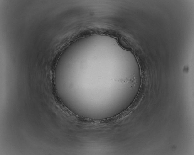 X0000093531061200710121144