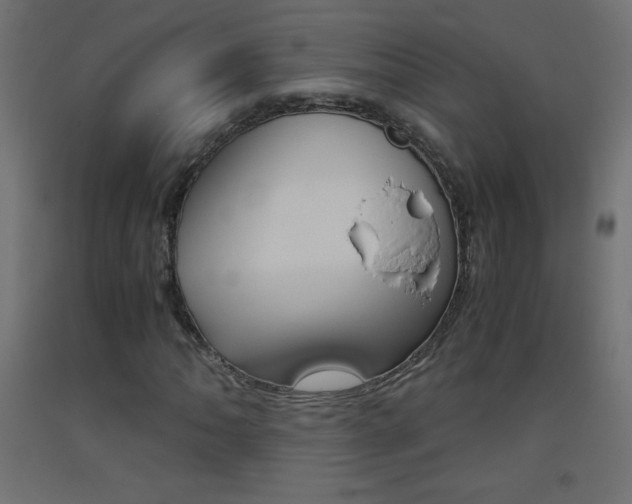 X0000093531062200710121144