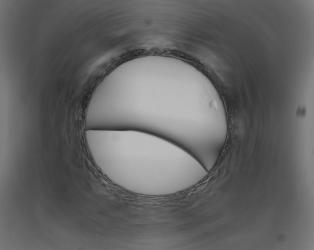 X0000093531063200710121144