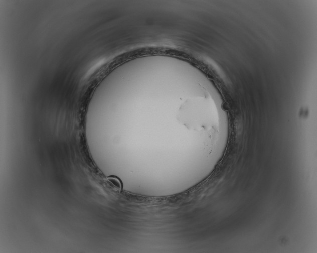 X0000093531064200710121144