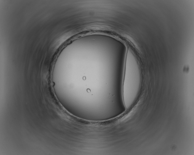 X0000093531065200710121144