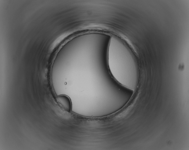 X0000093531066200710121144