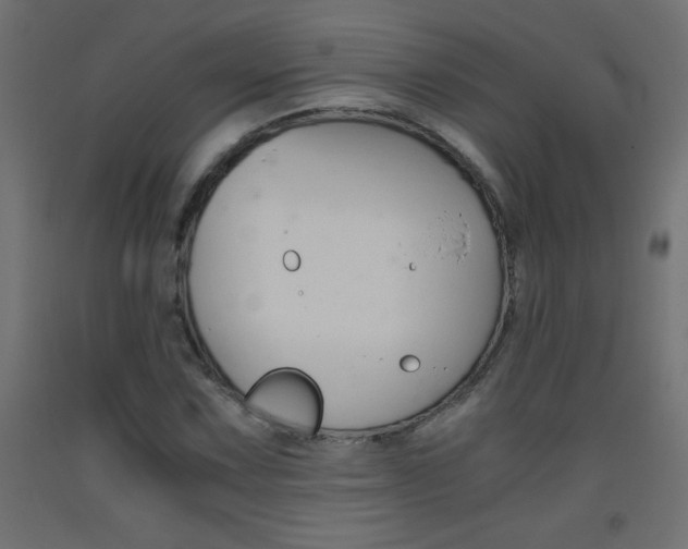 X0000093531067200710121144