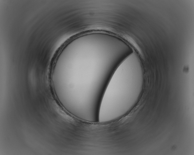 X0000093531068200710121144