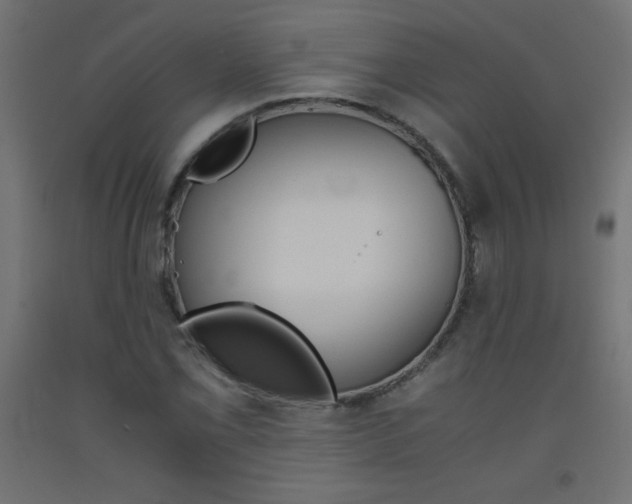 X0000093531069200710121144