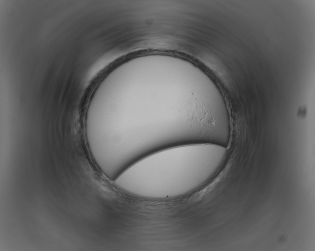 X0000093531070200710121144
