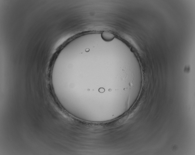X0000093531071200710121144
