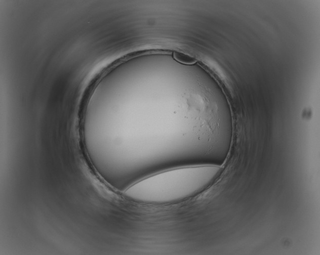 X0000093531072200710121144