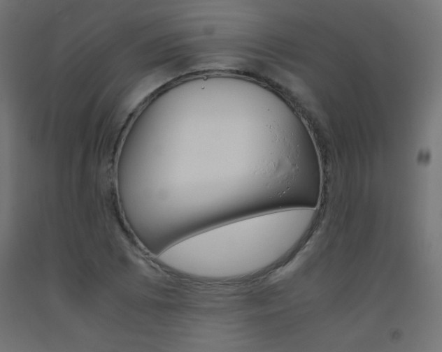 X0000093531073200710121144