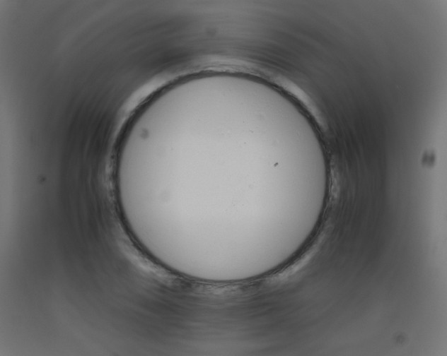 X0000093531074200710121144