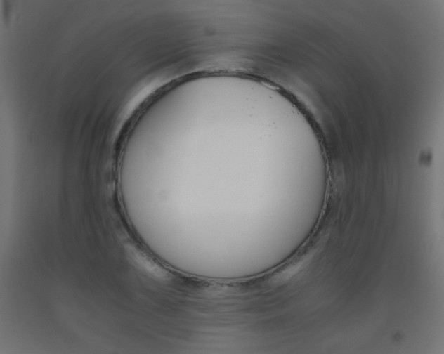 X0000093531075200710121144
