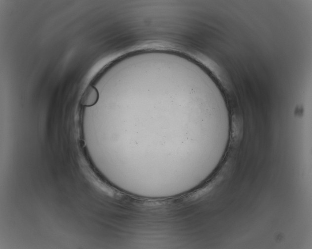 X0000093531078200710121144