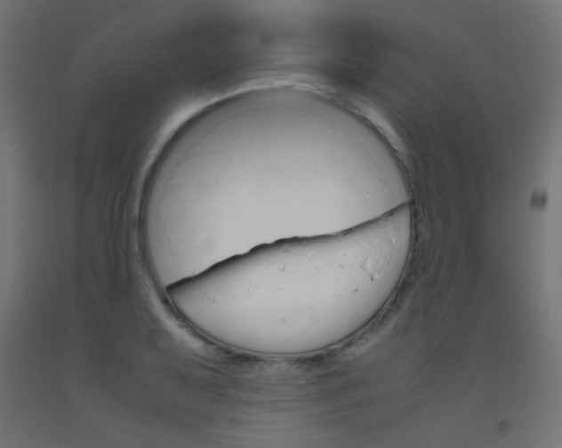 X0000093531079200710121144