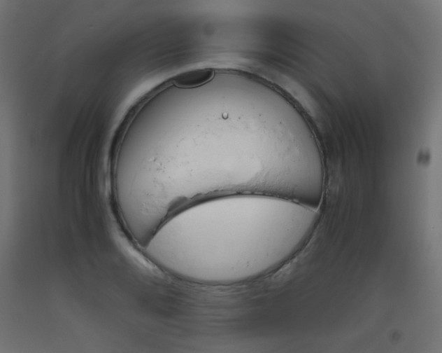 X0000093531080200710121144