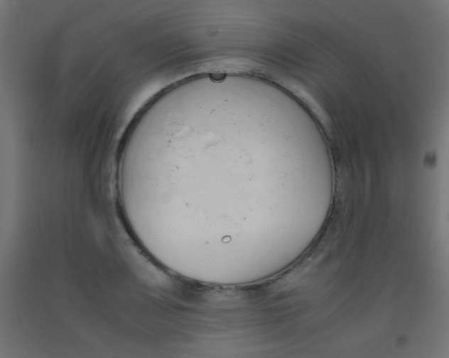 X0000093531083200710121144