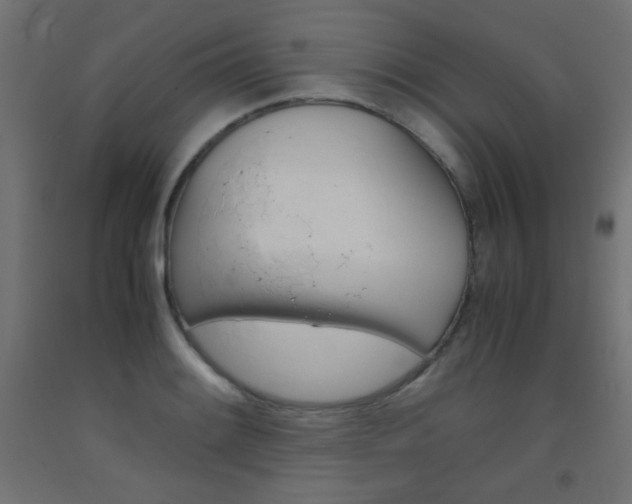 X0000093531084200710121144