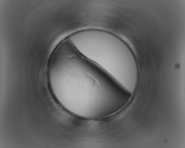 X0000093531085200710121144
