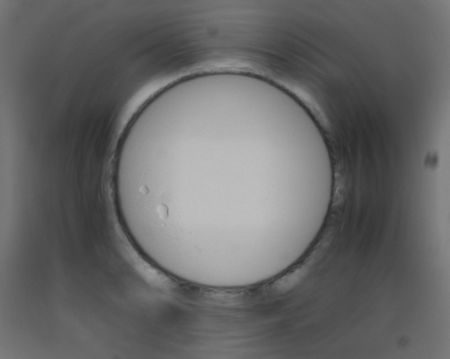 X0000093531086200710121144