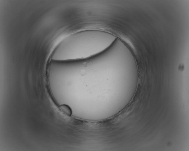 X0000093531087200710121144
