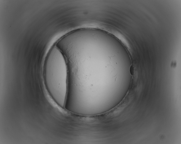 X0000093531088200710121144