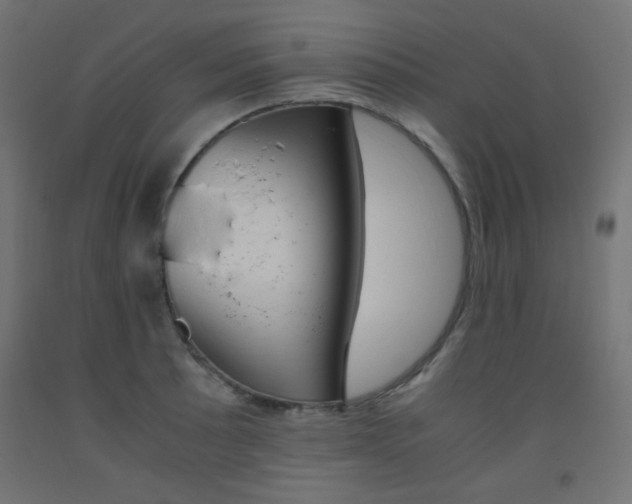 X0000093531089200710121144