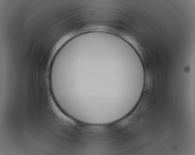 X0000093531090200710121144
