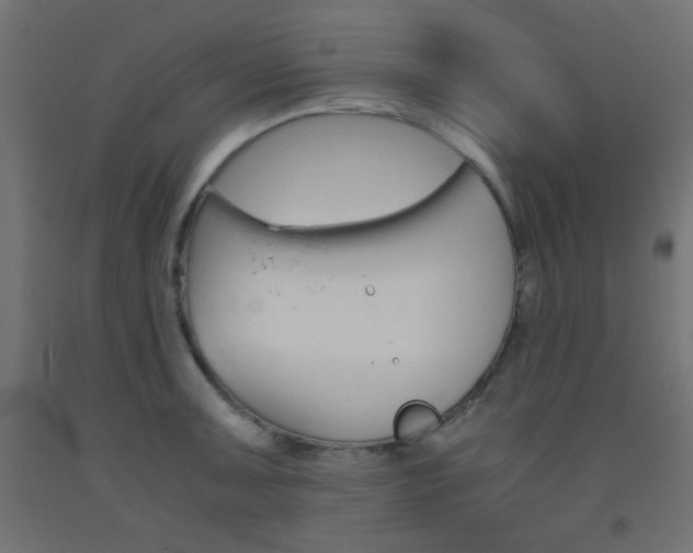 X0000093531091200710121144