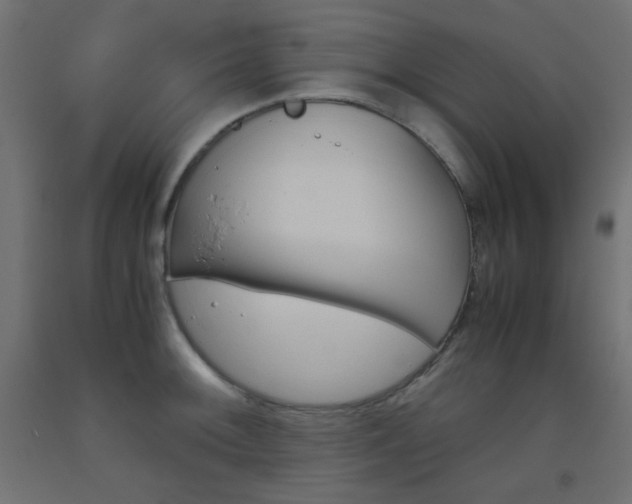 X0000093531092200710121144