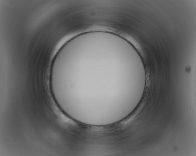 X0000093531094200710121144