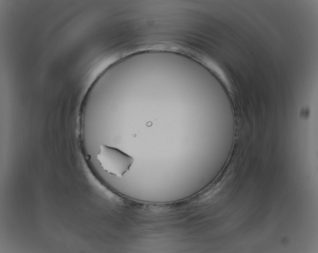 X0000093531095200710121144