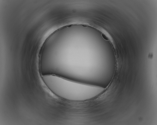 X0000093531096200710121144