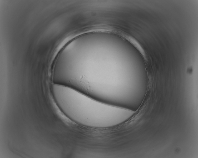 X0000093531099200710121144