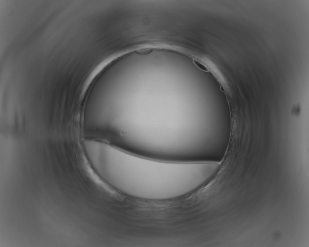 X0000093531100200710121144