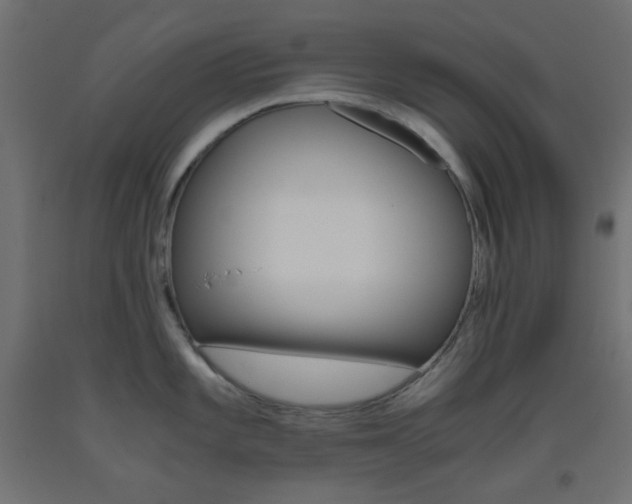 X0000093531101200710121144