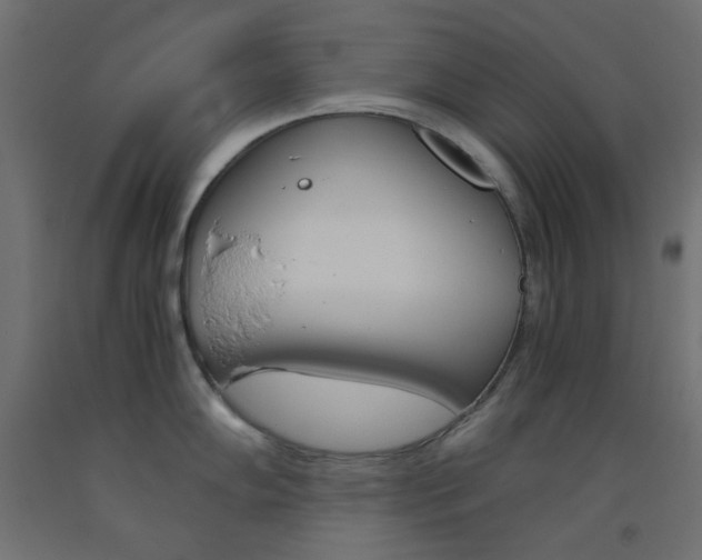 X0000093531102200710121144