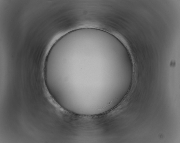 X0000093531104200710121144