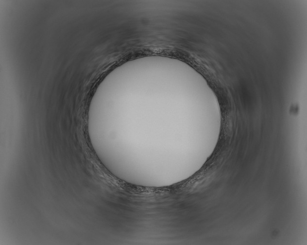 X0000093531105200710121143