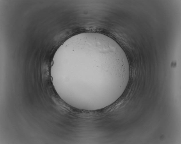 X0000093531106200710121143