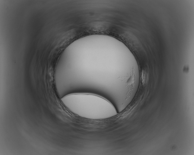 X0000093531107200710121143