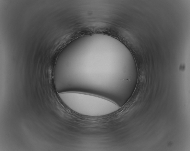 X0000093531108200710121143
